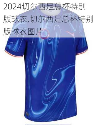 切尔西足总杯特别版球衣,切尔西足总杯特别版球衣图片