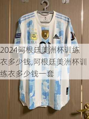阿根廷美洲杯训练衣多少钱,阿根廷美洲杯训练衣多少钱一套
