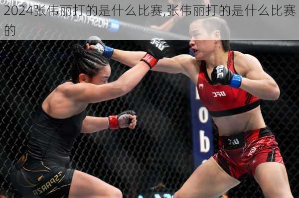 张伟丽打的是什么比赛,张伟丽打的是什么比赛的