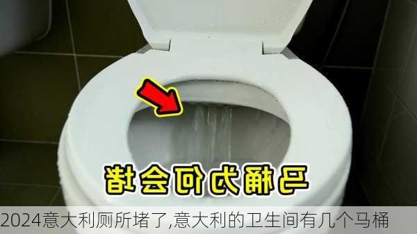 意大利厕所堵了,意大利的卫生间有几个马桶