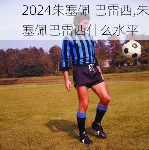 朱塞佩 巴雷西,朱塞佩巴雷西什么水平