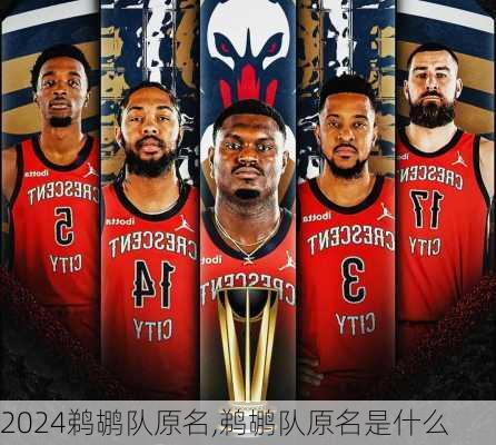 鹈鹕队原名,鹈鹕队原名是什么
