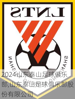 山东泰山足球俱乐部,山东泰山足球俱乐部股份有限公司