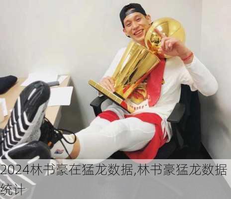 林书豪在猛龙数据,林书豪猛龙数据统计