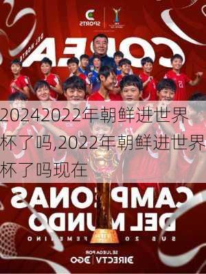 2022年朝鲜进世界杯了吗,2022年朝鲜进世界杯了吗现在