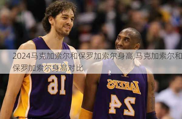 马克加索尔和保罗加索尔身高,马克加索尔和保罗加索尔身高对比