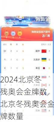 北京冬残奥会金牌数,北京冬残奥会金牌数量