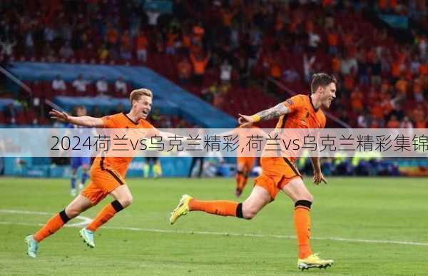 荷兰vs乌克兰精彩,荷兰vs乌克兰精彩集锦
