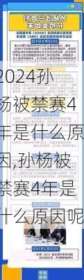 孙杨被禁赛4年是什么原因,孙杨被禁赛4年是什么原因呢