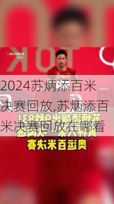 苏炳添百米决赛回放,苏炳添百米决赛回放在哪看