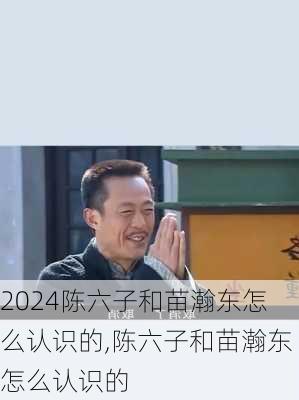 陈六子和苗瀚东怎么认识的,陈六子和苗瀚东怎么认识的