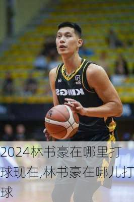 林书豪在哪里打球现在,林书豪在哪儿打球