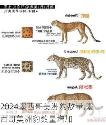 墨西哥美洲豹数量,墨西哥美洲豹数量增加