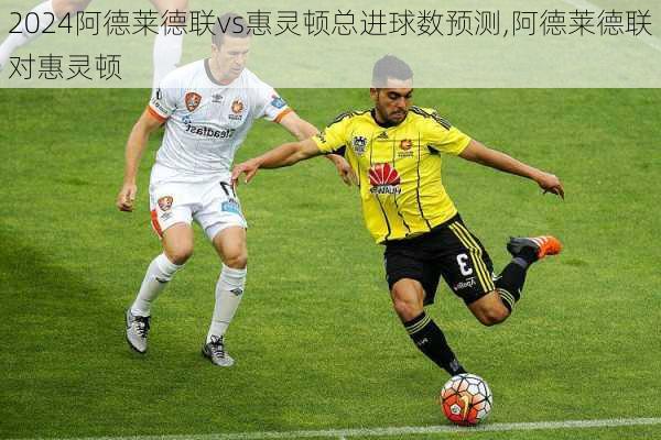 阿德莱德联vs惠灵顿总进球数预测,阿德莱德联对惠灵顿