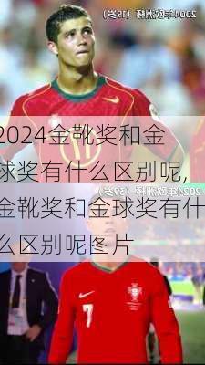 金靴奖和金球奖有什么区别呢,金靴奖和金球奖有什么区别呢图片