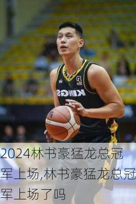 林书豪猛龙总冠军上场,林书豪猛龙总冠军上场了吗