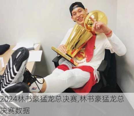 林书豪猛龙总决赛,林书豪猛龙总决赛数据