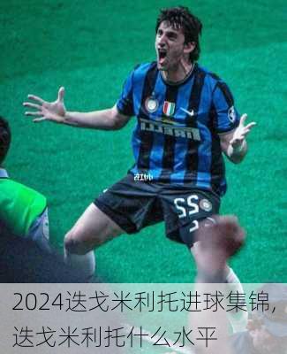 迭戈米利托进球集锦,迭戈米利托什么水平