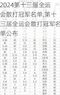 第十三届全运会散打冠军名单,第十三届全运会散打冠军名单公布