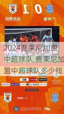 费莱尼加盟中超球队,费莱尼加盟中超球队多少钱