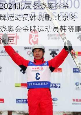 北京冬残奥会金牌运动员韩晓鹏,北京冬残奥会金牌运动员韩晓鹏简历
