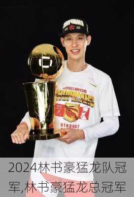 林书豪猛龙队冠军,林书豪猛龙总冠军