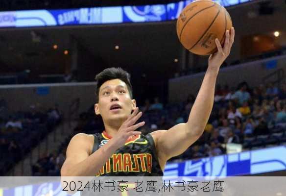 林书豪 老鹰,林书豪老鹰