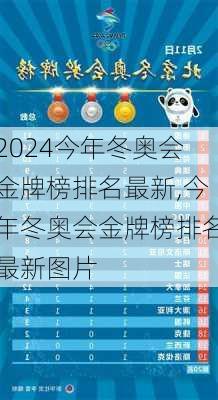 今年冬奥会金牌榜排名最新,今年冬奥会金牌榜排名最新图片