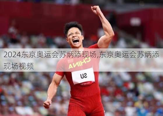 东京奥运会苏炳添现场,东京奥运会苏炳添现场视频