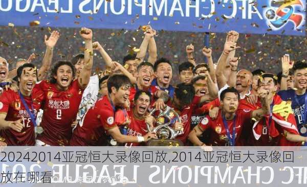 2014亚冠恒大录像回放,2014亚冠恒大录像回放在哪看