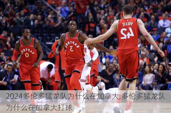 多伦多猛龙队为什么在加拿大,多伦多猛龙队为什么在加拿大打球