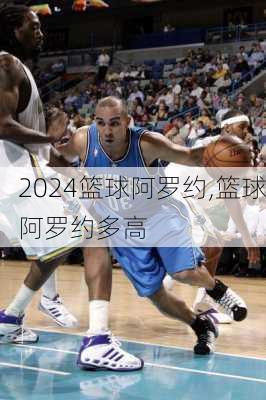 篮球阿罗约,篮球阿罗约多高