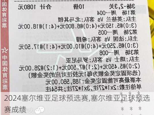 塞尔维亚足球预选赛,塞尔维亚足球预选赛成绩