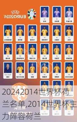 2014世界杯荷兰名单,2014世界杯主力阵容荷兰