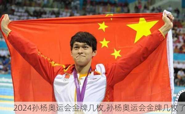 孙杨奥运会金牌几枚,孙杨奥运会金牌几枚了