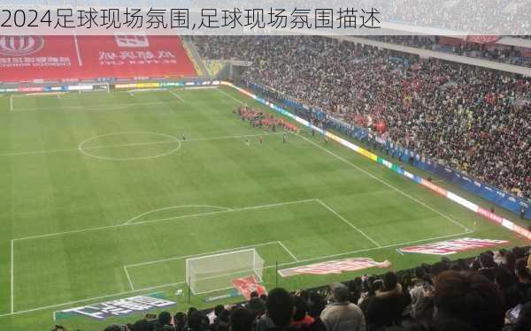 足球现场氛围,足球现场氛围描述