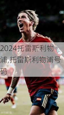 托雷斯利物浦,托雷斯利物浦号码