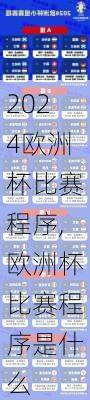 欧洲杯比赛程序,欧洲杯比赛程序是什么