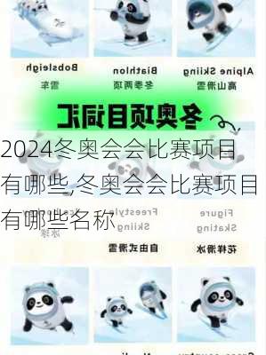冬奥会会比赛项目有哪些,冬奥会会比赛项目有哪些名称