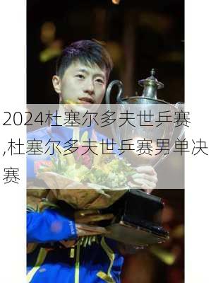 杜塞尔多夫世乒赛,杜塞尔多夫世乒赛男单决赛