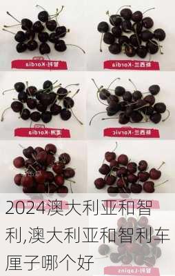 澳大利亚和智利,澳大利亚和智利车厘子哪个好