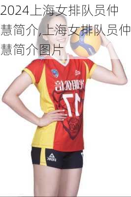 上海女排队员仲慧简介,上海女排队员仲慧简介图片