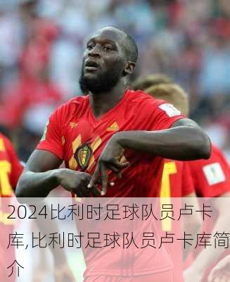 比利时足球队员卢卡库,比利时足球队员卢卡库简介