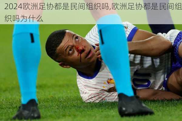 欧洲足协都是民间组织吗,欧洲足协都是民间组织吗为什么