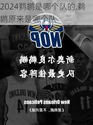 鹈鹕是哪个队的,鹈鹕原来是哪个队