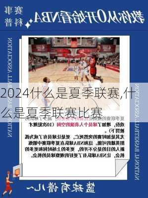 什么是夏季联赛,什么是夏季联赛比赛