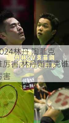 林丹 陶菲克谁厉害,林丹陶菲克谁厉害