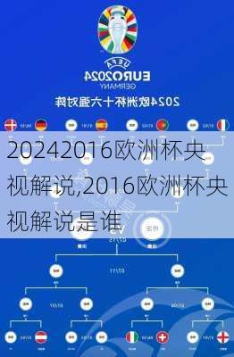2016欧洲杯央视解说,2016欧洲杯央视解说是谁