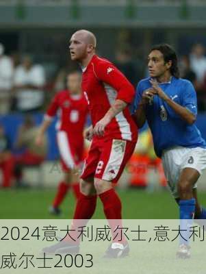 意大利威尔士,意大利威尔士2003