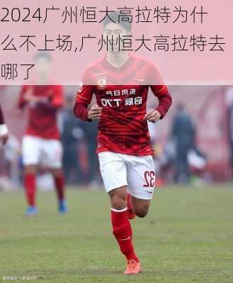 广州恒大高拉特为什么不上场,广州恒大高拉特去哪了